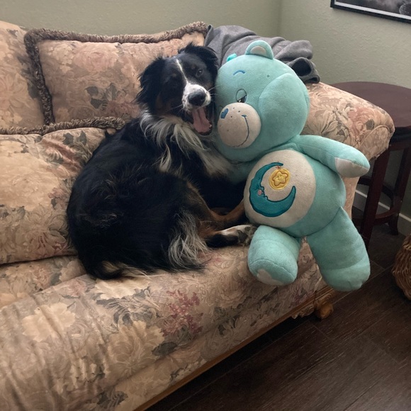 Meet your Posher, Tami - Picture 4 of 6